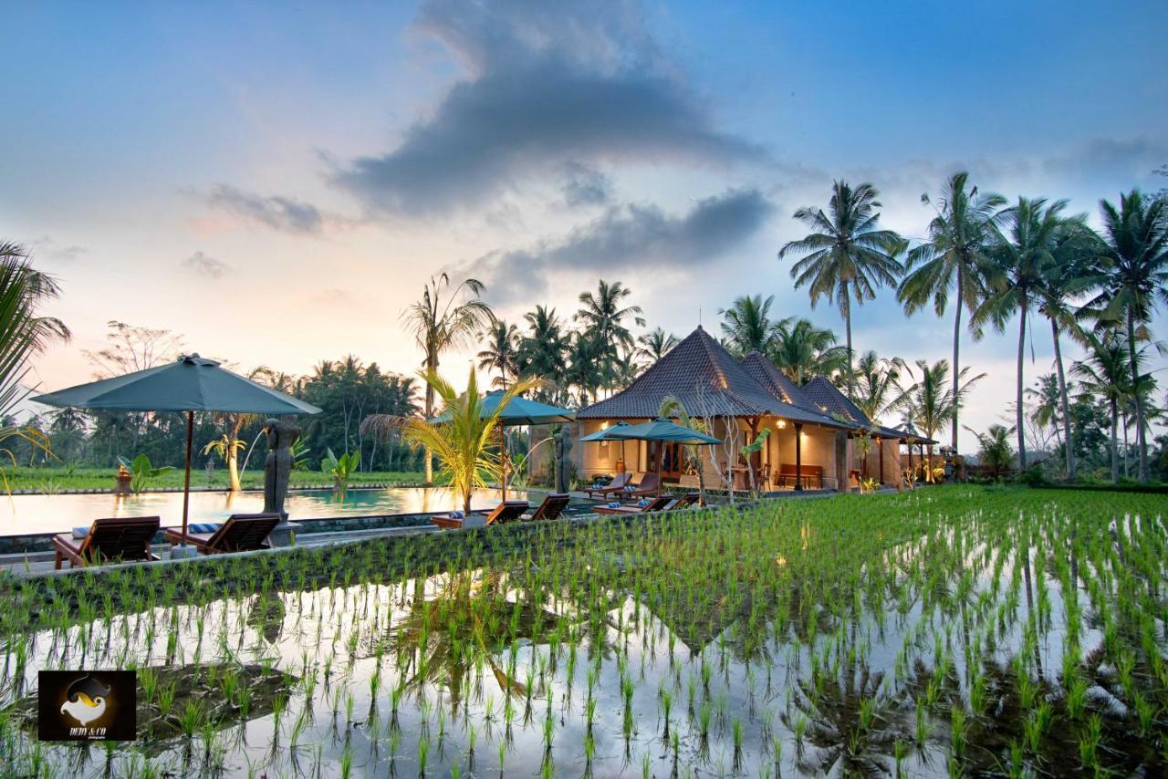 Intan Villa & Suite Ubud 外观 照片