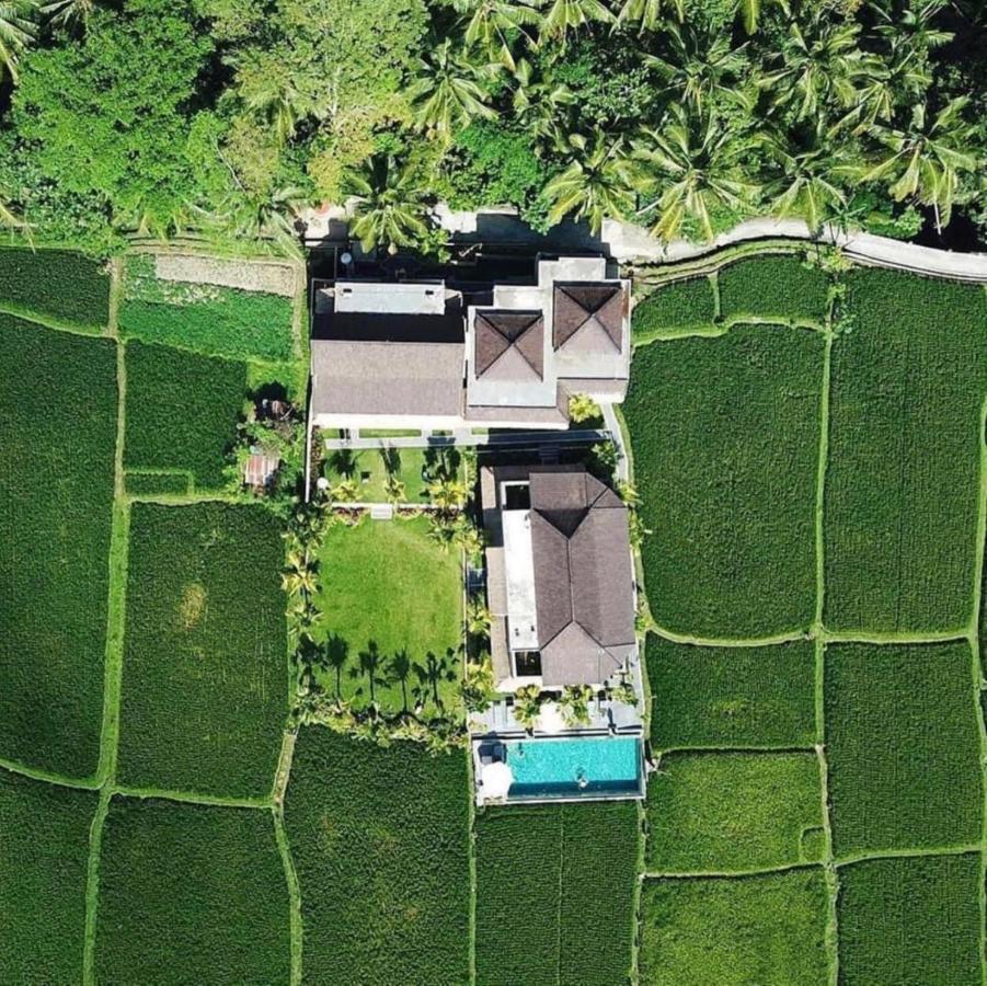 Intan Villa & Suite Ubud 外观 照片